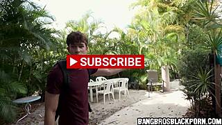 Сцена#2 za video: nil